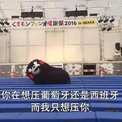 世界杯足球金句,世界杯土话对话
