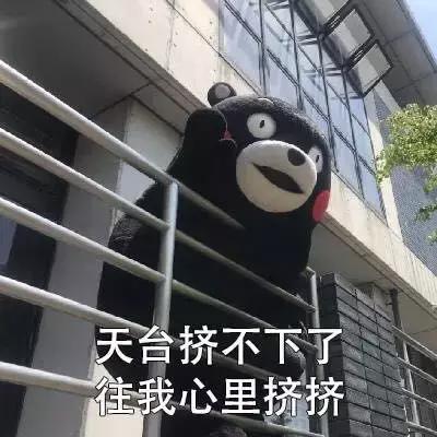 世界杯足球金句,世界杯土话对话