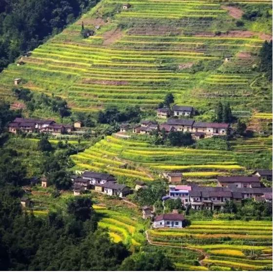 韶关有什么旅游的地方,韶关这个季节有什么好玩的地方