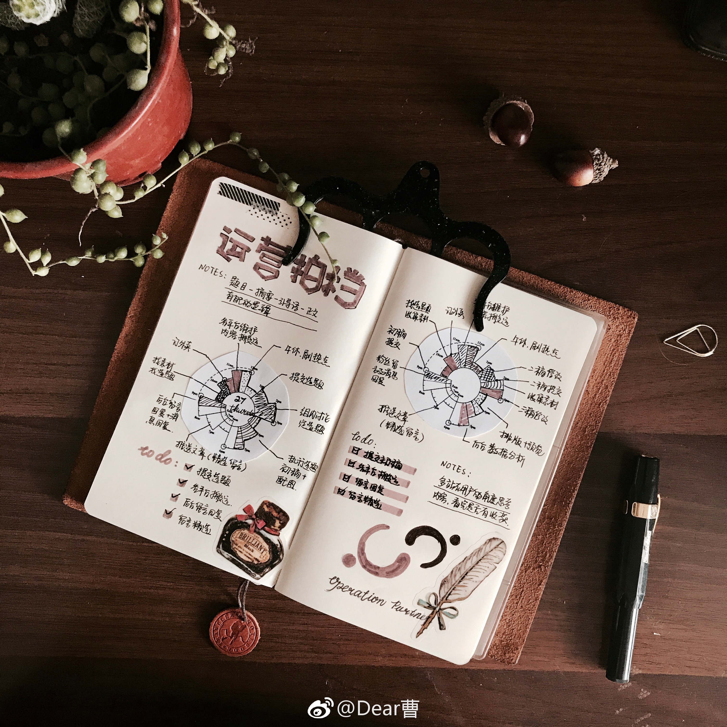 科普手帐,手帐必知道的知识