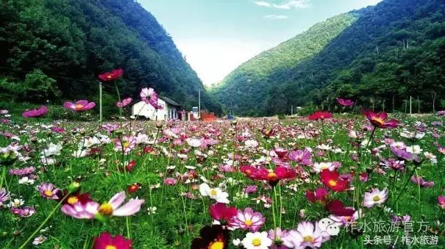 柞水老县城,柞水慢城