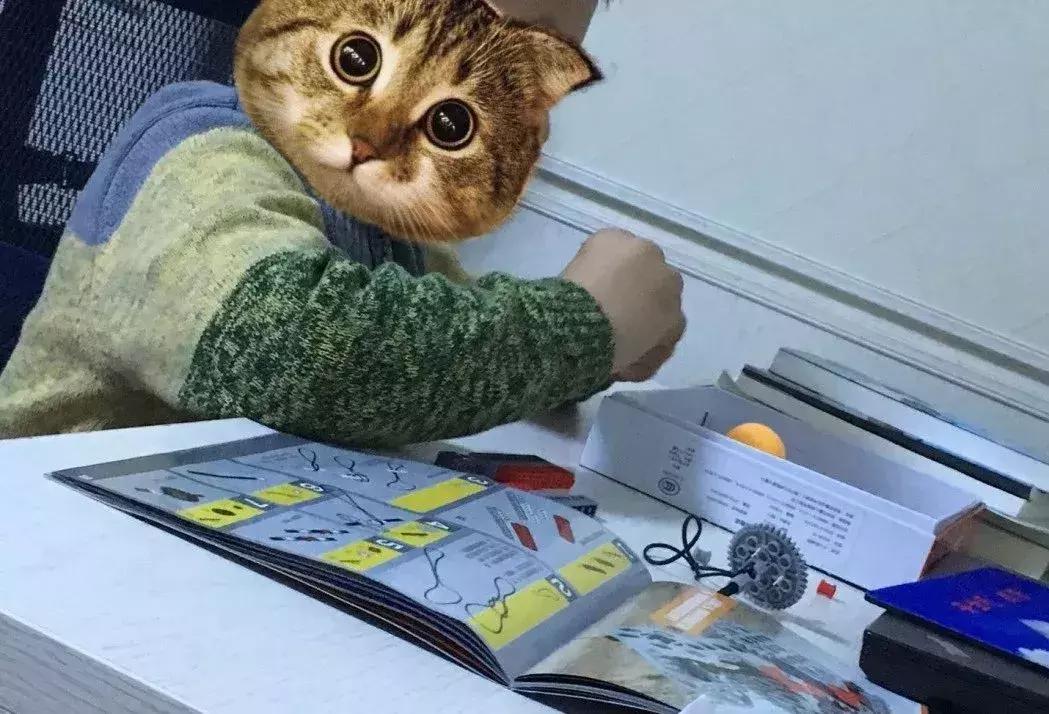 有远见的父母一定要逼孩子学习,聪明的父母一定要让孩子体验