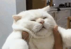 夏天午睡越睡越困醒不过来怎么办,夏季午睡起来健康养生