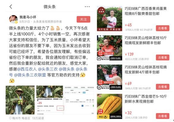 巧妇9妹农产品店铺,巧妇9妹水果旗舰店