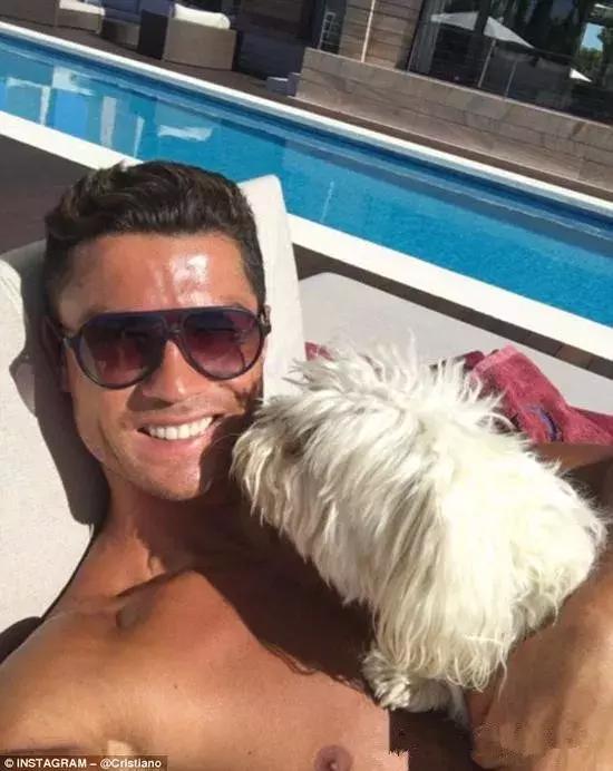 c罗养的狗对比梅西养的,梅西和c罗的宠物到了足球场