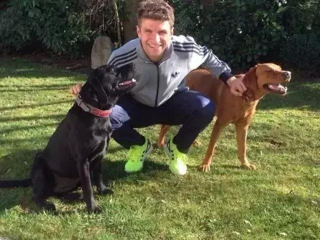 c罗养的狗对比梅西养的,梅西和c罗的宠物到了足球场