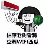 看世界杯感动,看世界杯心酸