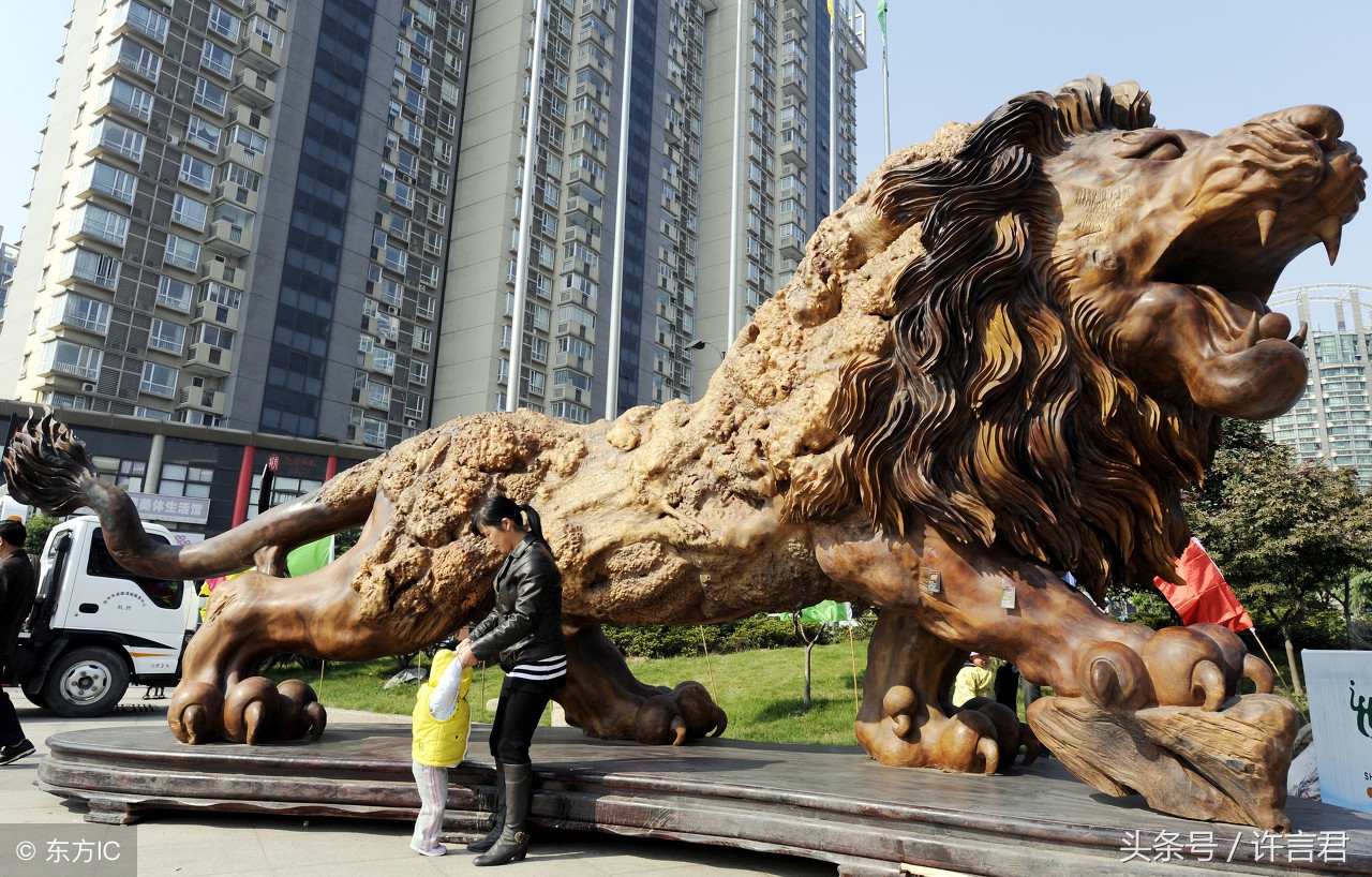 根艺根雕制作,根艺制作的视频