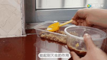 白糖加洗衣粉能灭蚊虫蟑螂,一勺洗衣粉让蟑螂断子绝孙