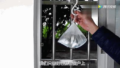 白糖加洗衣粉能灭蚊虫蟑螂,一勺洗衣粉让蟑螂断子绝孙