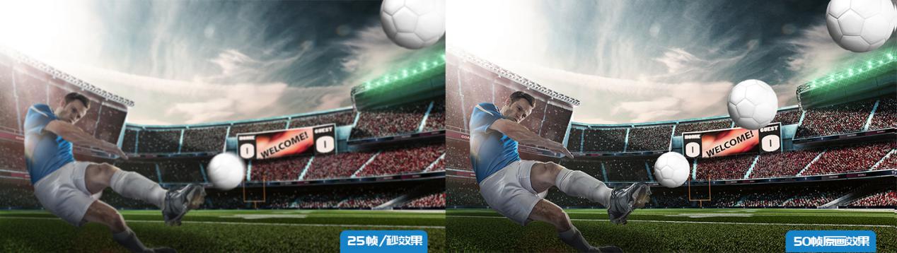 菜鸡互啄图片大全集,菜鸡互啄花絮