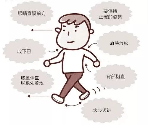 含胸驼背影响身材怎么调整,含胸驼背对内脏的危害