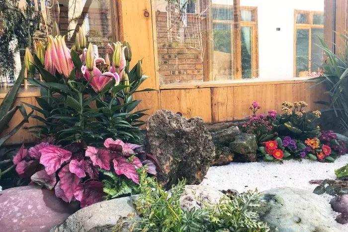 成都地点好点价格便宜点的民宿,成都周边避暑民宿独立院子