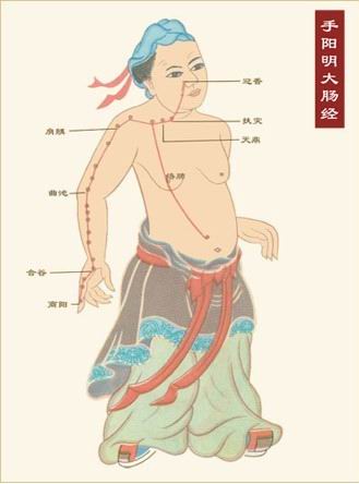 近400个穴位怎么记？谈谈其前世今生！（强烈建议收藏）