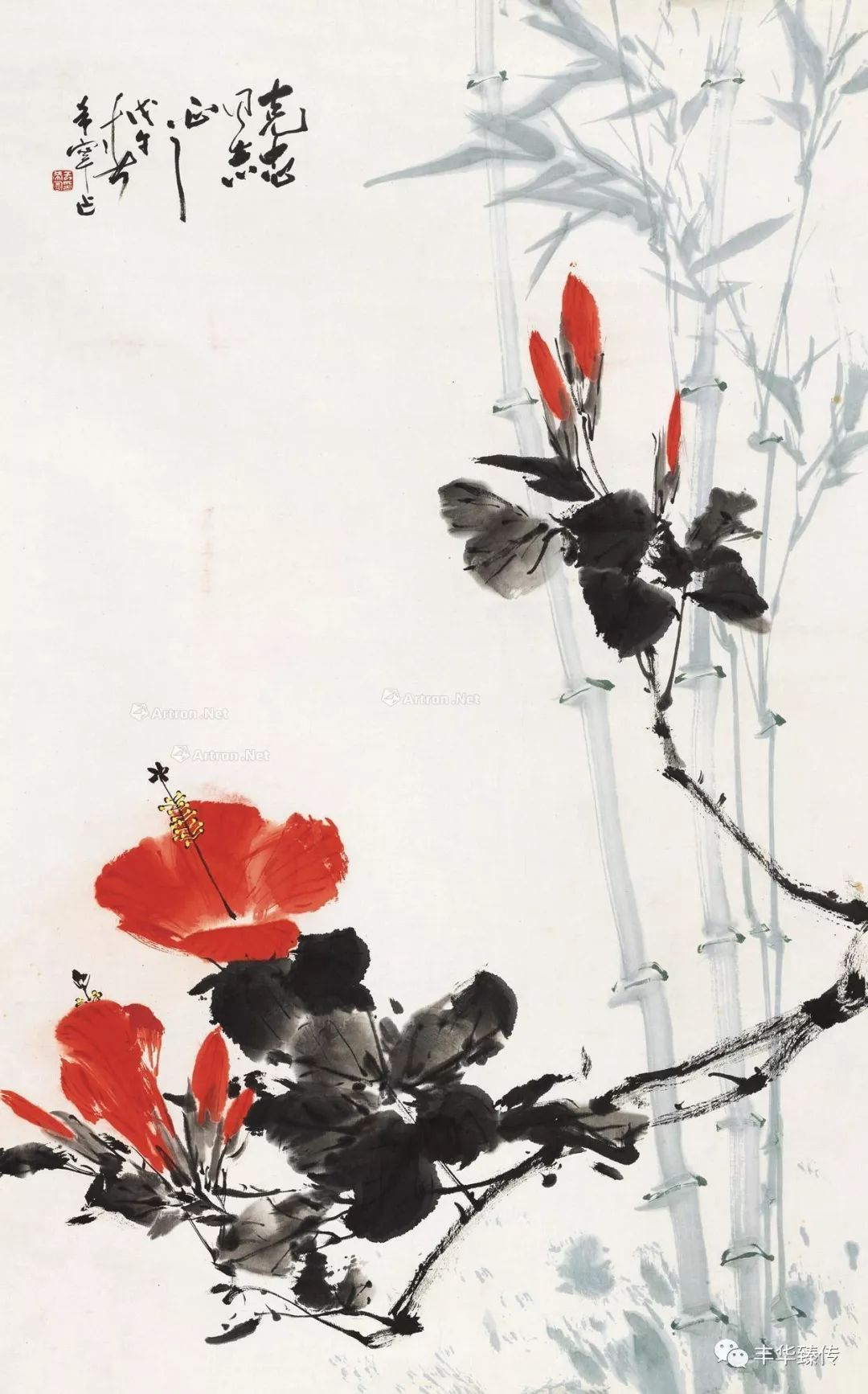 坐地日行八万里，巡天遥看一千河！帽哥出品