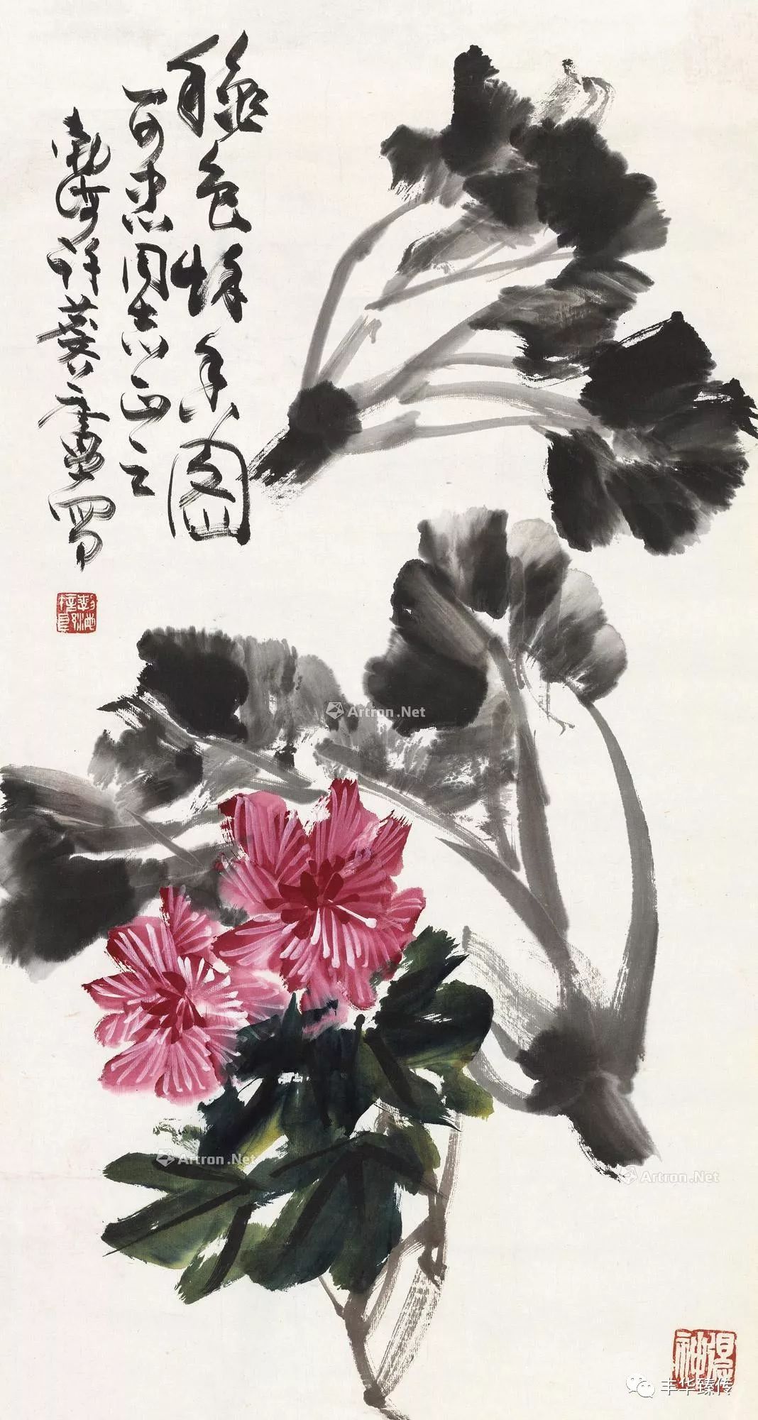 坐地日行八万里，巡天遥看一千河！帽哥出品