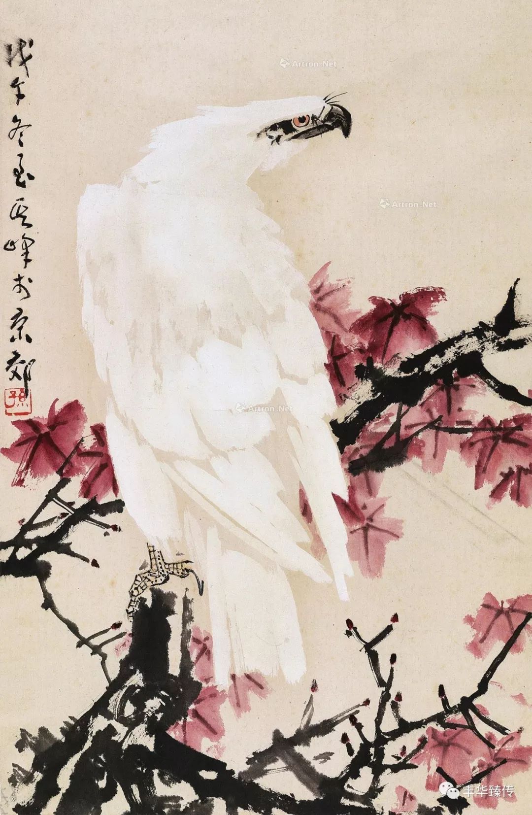 坐地日行八万里，巡天遥看一千河！帽哥出品