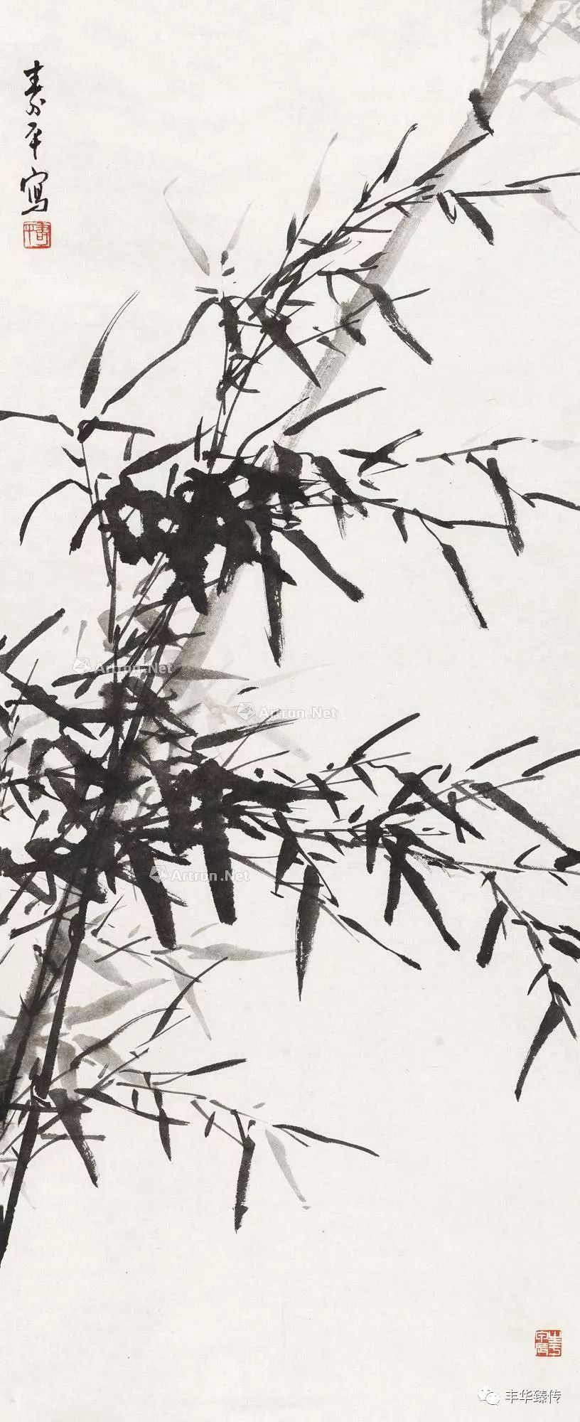 坐地日行八万里，巡天遥看一千河！帽哥出品