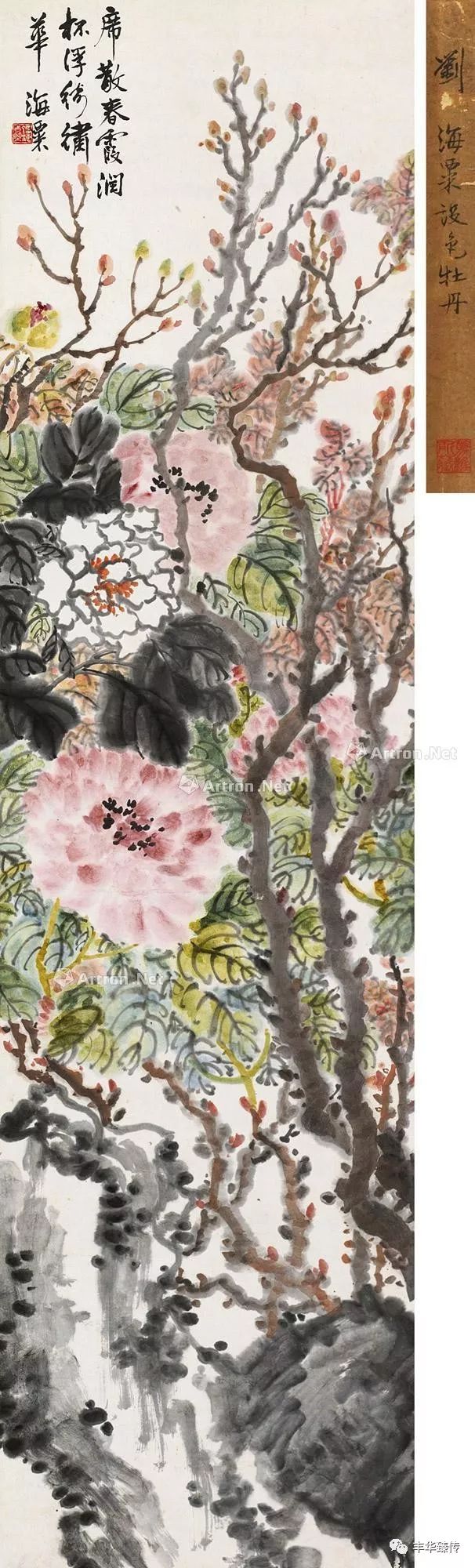 坐地日行八万里，巡天遥看一千河！帽哥出品