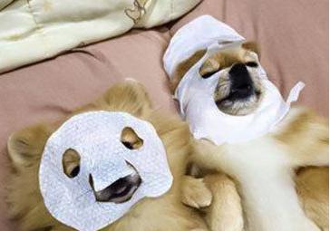 森田面膜已加入黑名单，看看这批不合格的面膜你家有没有