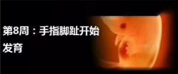 孕妈十月怀胎，详解每周小宝宝在妈妈肚子里发生了哪些变化，实用