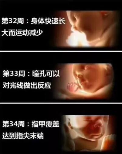 孕妈十月怀胎，详解每周小宝宝在妈妈肚子里发生了哪些变化，实用