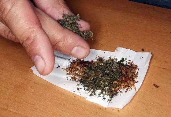 飞叶子是什么感觉？*麻大**有什么危害？