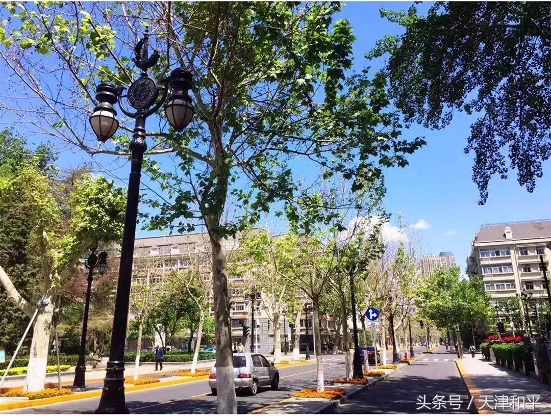 这诗情画意的和平“蓝”，你见到了吗？