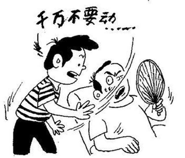 城乡话题｜打蚊子