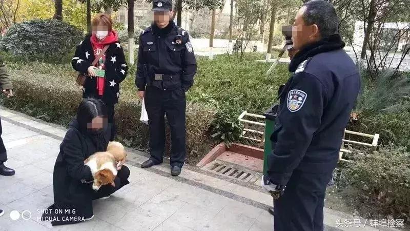 拾到手机不归还怎么处理,拾到手机拒不归还触犯了民法典