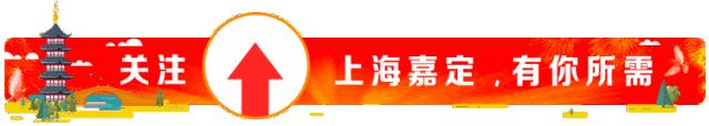 2020年上海嘉定工作招聘会,嘉定十一月八日招聘会