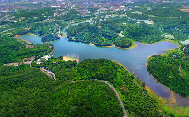 东莞香市动物园门票99元优惠套票,东莞香市动物园和深圳野生动物园
