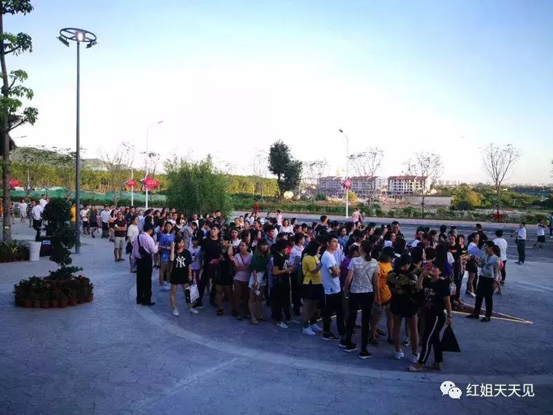 女权主义红色娘子军,我不是女权主义者