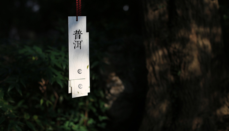 7530勐海七子饼普洱茶357克价格表,茶知识普洱茶饼为何叫七子饼