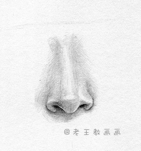 素描石膏像鼻子画法,素描五官鼻子讲解