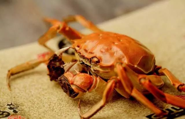 吃完虾和蟹喝酸奶可以吗,辟谣虾和橘子一起吃