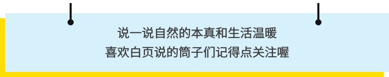 头条号图文排版技巧,头条号怎么图文排版