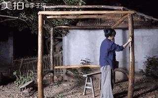 什么样的乡村生活你最向往,农村的生活是你最向往的