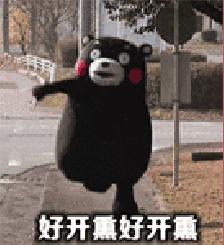 广深港高铁哪个时候开通,广州深港高铁开通