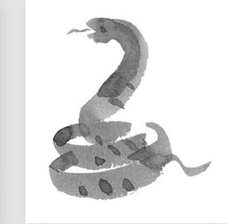 12生肖三合三会六害表格,十二生肖的三合和6合讲解