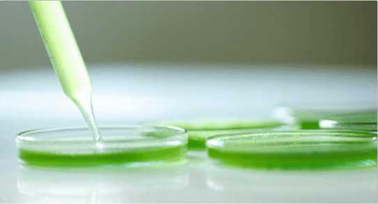 有了它，再也没人买假货了