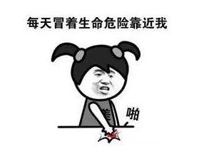 内蒙古蚊子什么季节出现,全国首个蚊子出没预报