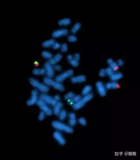 印度白血病新药,印度仿制白血病特效药