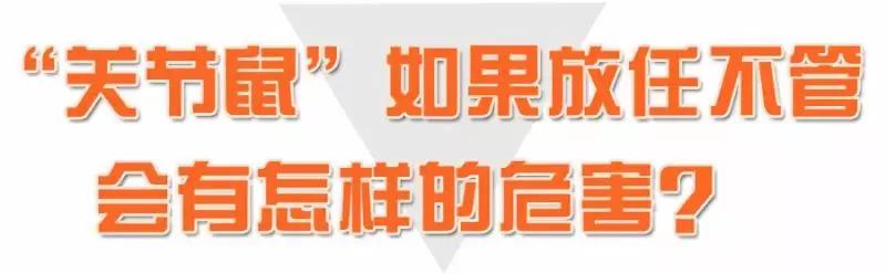 膝盖里面一阵阵卡壳怎么回事,膝盖关节感觉卡壳怎么办但不疼