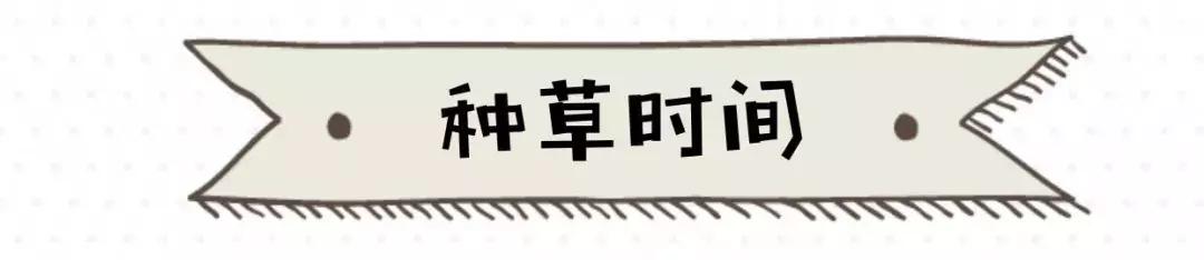 8款超好用的定妆散粉，让你的妆容从早到晚都精致！