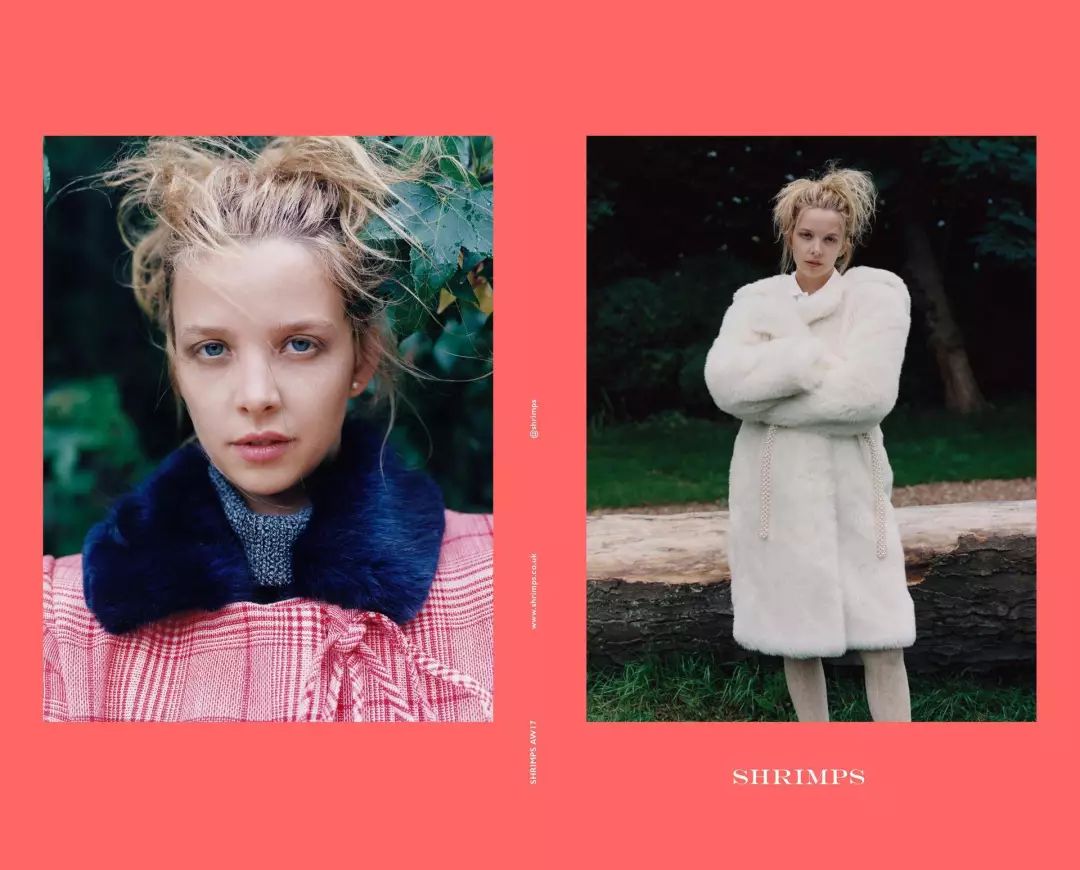 gucci安哥拉兔毛,gucci为什么不用动物皮草