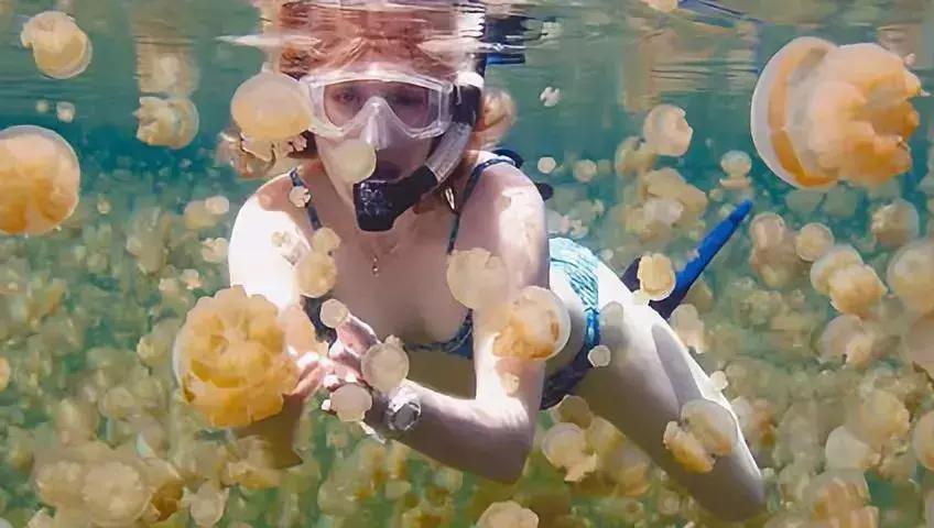 中国护照免签及落地签的国家,中国护照免签含金量