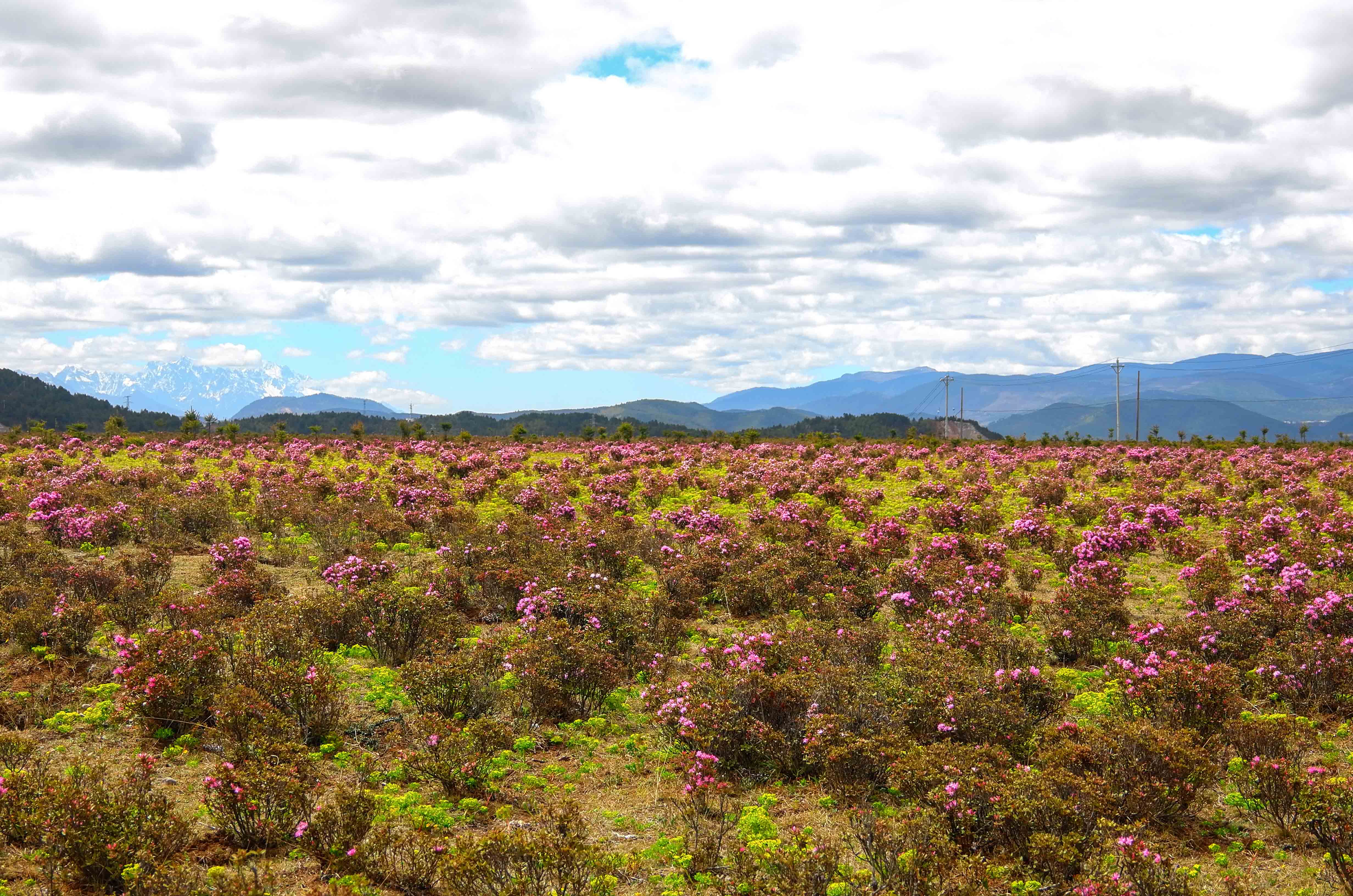 强迫症治疗一次需要多少钱,强迫症治疗一年费用多少