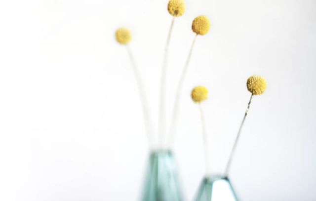 高招志愿报名后第五天开始,高招专科志愿今起填报