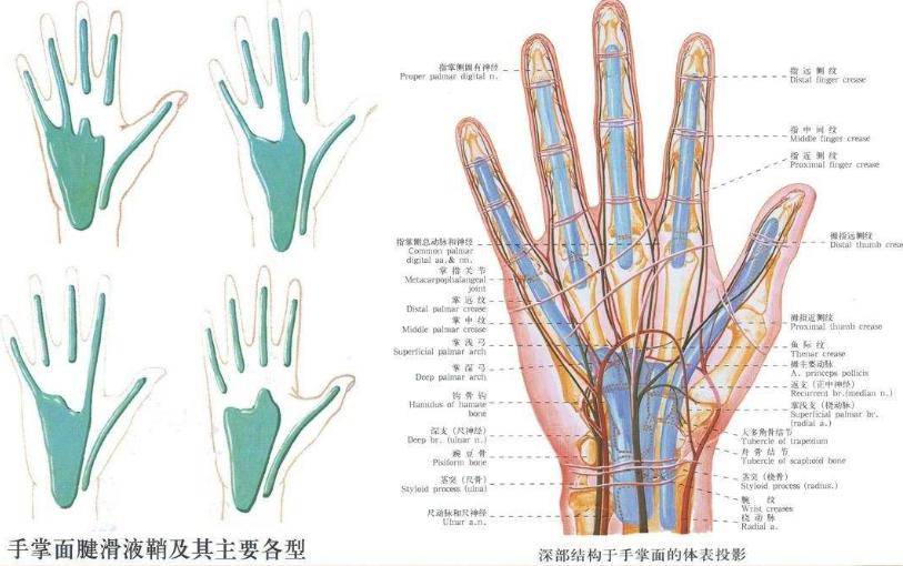 腱鞘炎千万别手术知乎,腱鞘炎妈妈手千万别硬撑